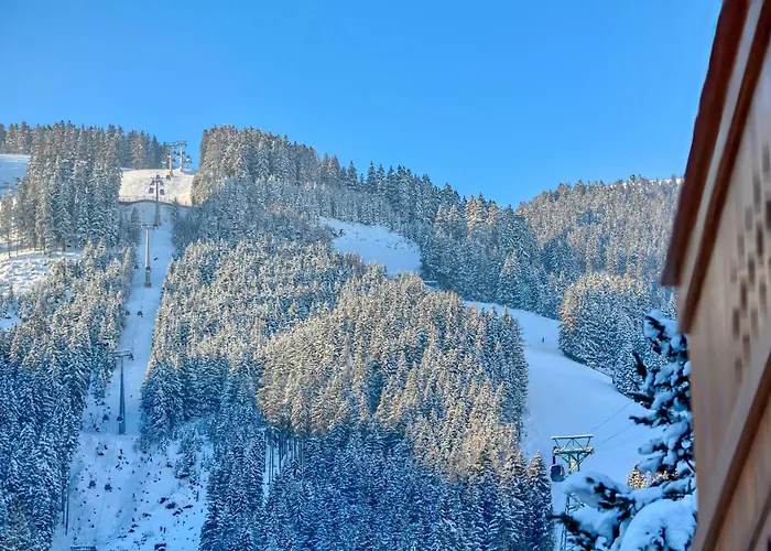 Schmitten - By Alpen *